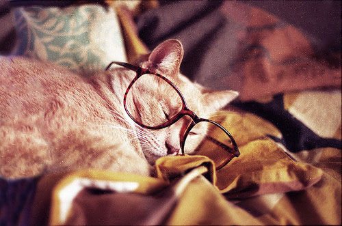 If only glasses were this easy to find