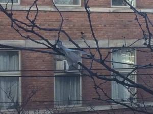 10918974_10155097272005006_6515298238061377084_o