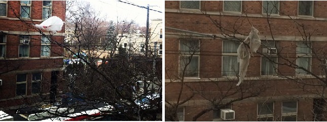 Bag, "Then & Now" [January 2013 v. January 2014]